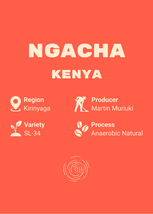 Ngacha - Kenya (Limited Edition - PRE-ORDER)