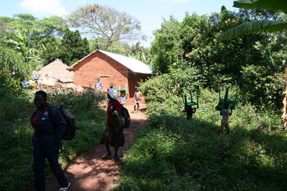 Anet's farm Leda microstation