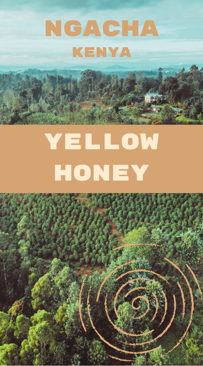 Ngacha Yellow Honey - Kenya