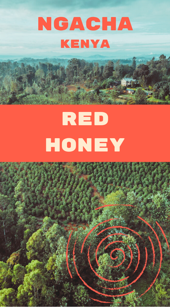 Ngacha Red Honey - Kenya