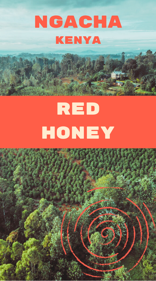 Ngacha Red Honey - Kenya